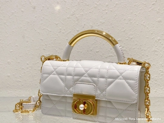 Tony Luxuries Mini Bag-20*12*5CM Ange diro 0713